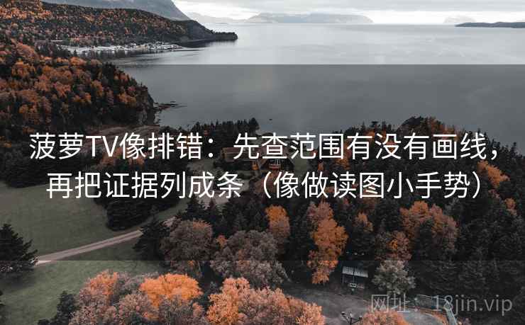 菠萝TV像排错：先查范围有没有画线，再把证据列成条（像做读图小手势）  第2张