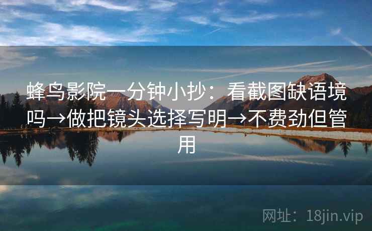 蜂鸟影院一分钟小抄：看截图缺语境吗→做把镜头选择写明→不费劲但管用  第1张