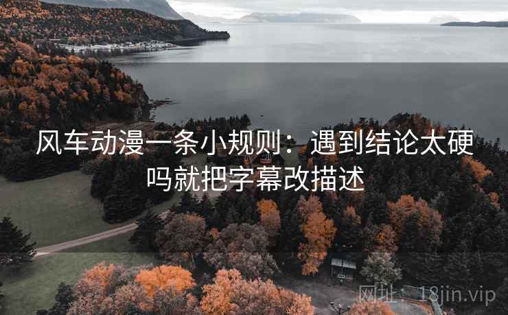 风车动漫一条小规则：遇到结论太硬吗就把字幕改描述